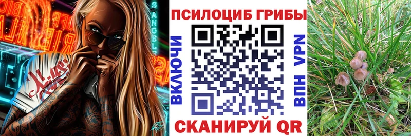 Галлюциногенные грибы MAGIC MUSHROOMS Чаплыгин